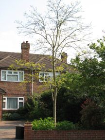 Greenwich Meridian Marker; England; LB Bromley; Shortlands (BR2)